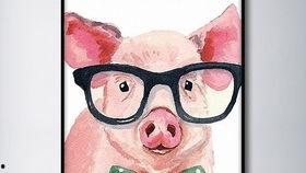 猪头娱乐圈吃瓜,揭秘明星们的“吃瓜”生活